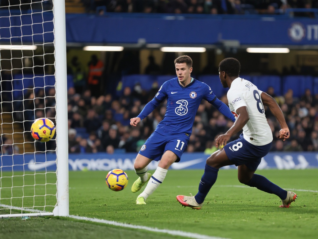 高的运动员 高的运动员